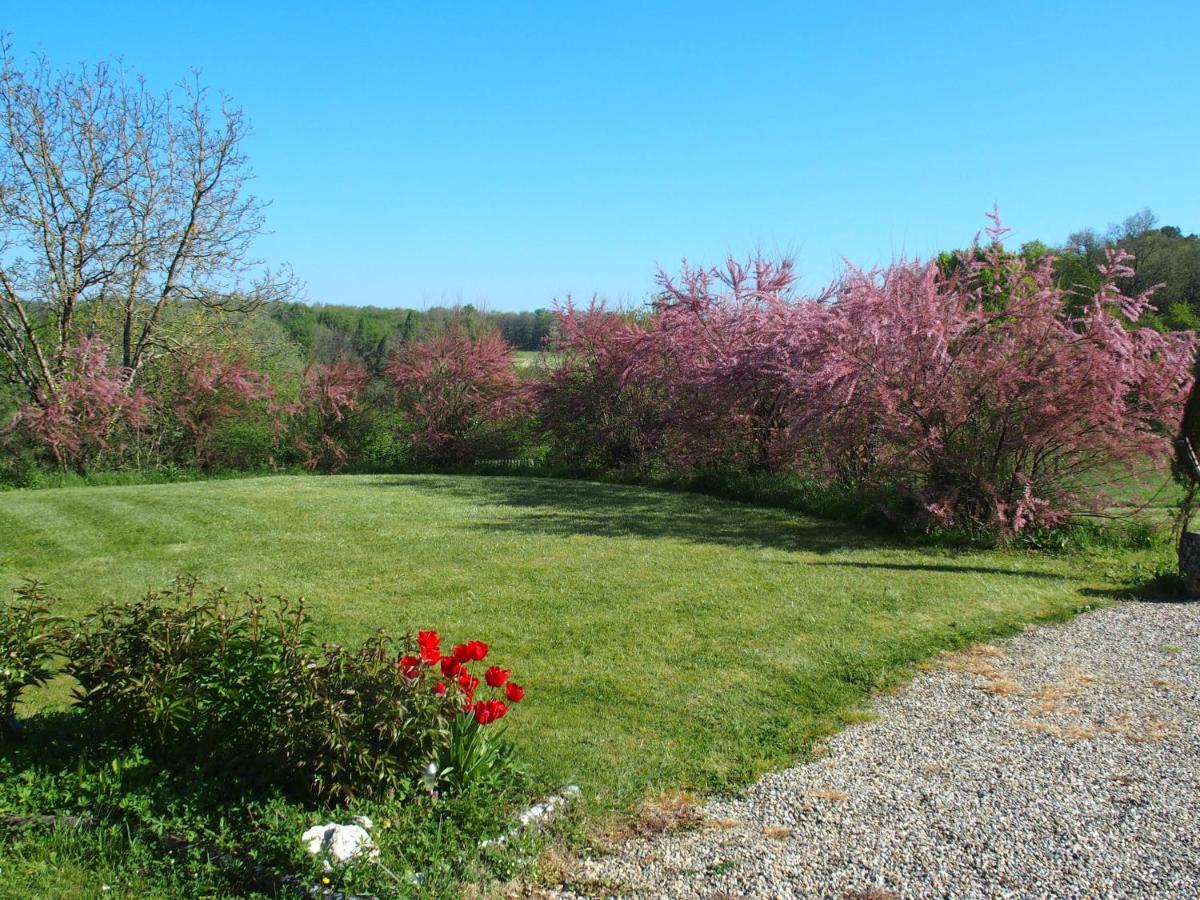 Les Tamaris Bed & Breakfast Castelnau-sur-Gupie Exterior foto